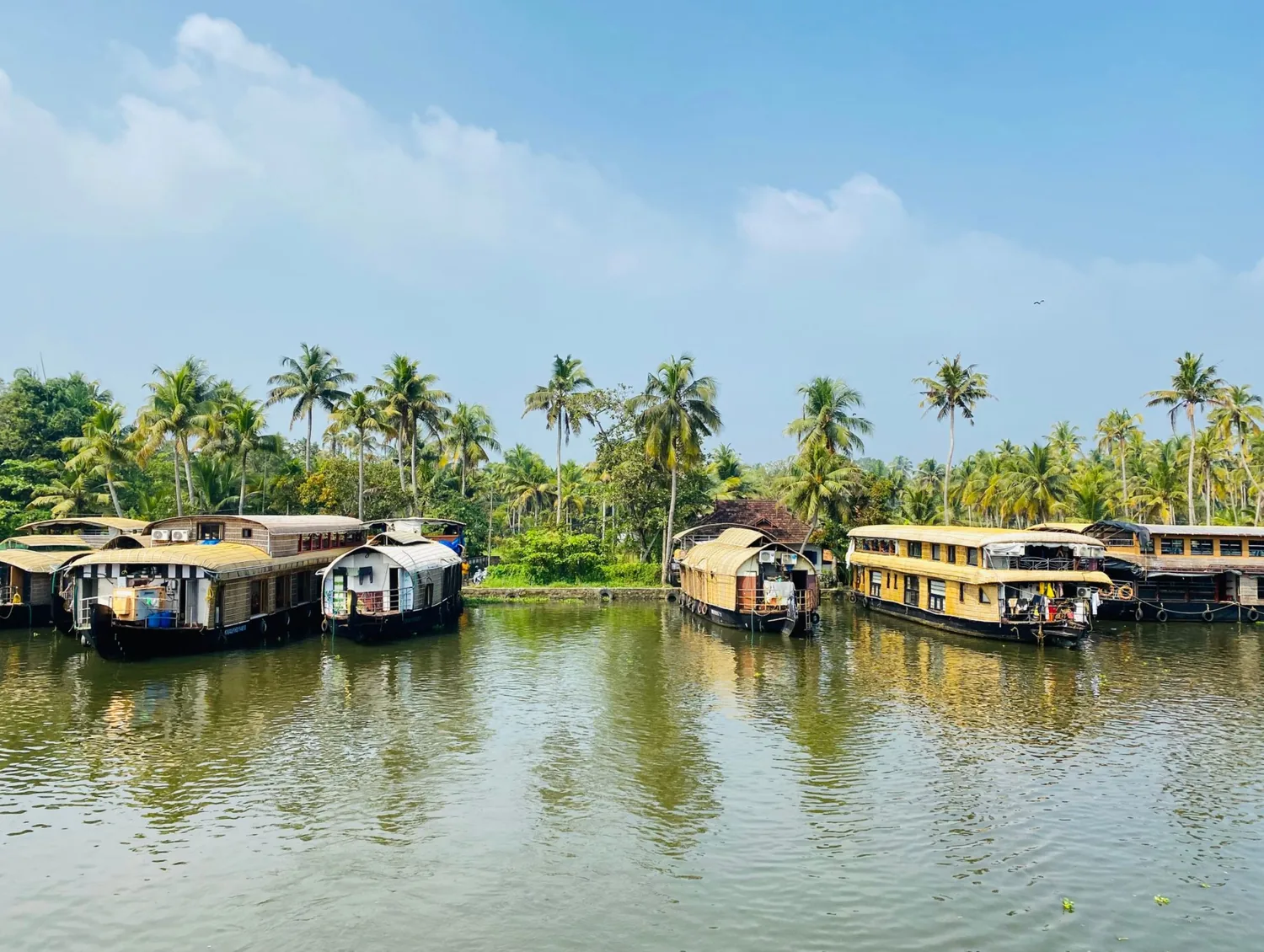 Kerala bamboo houseboat on the Alleppey backwaters — Backwater Bliss tour package